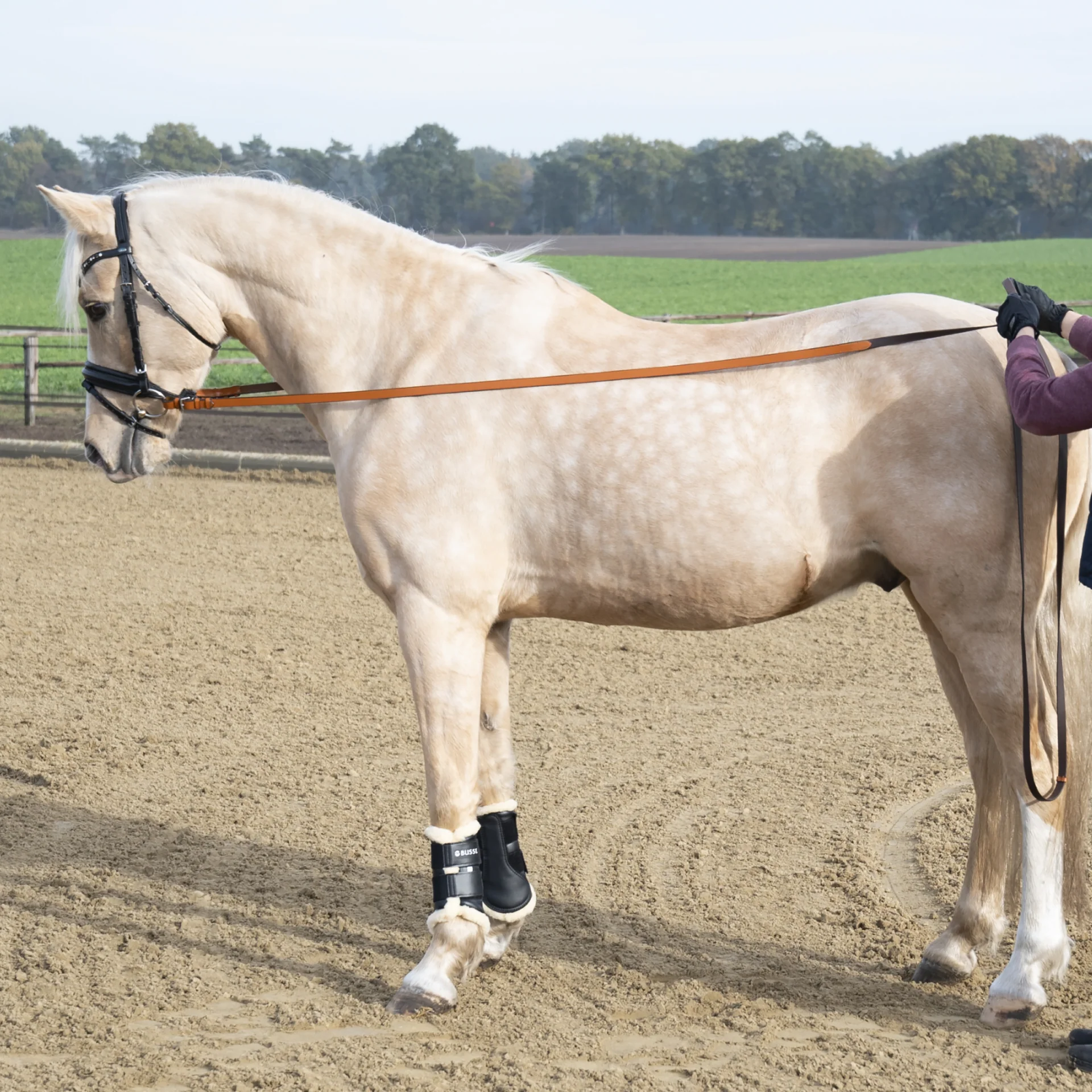 Busse LANGZÜGEL SOFT – Bild 3